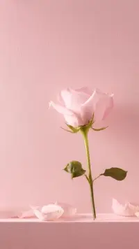 彩禮的事，你怎么看？

在我的咨詢室里經常遇到一些來訪者因為彩禮的問題導致分手或者結婚婚多年的夫妻仍然在彩禮這件事上過不去，產生隔閡大家，對于這個問題也是眾說紛紜，有人說男方不要嫁妝，女方不要彩禮，也有人說彩禮必須得有，意思意思行了，不在乎多少，這兩種觀點我都不太贊同。彩禮是中國幾千年流傳下來的一種風俗一定是有他的道理，是一種規矩和禮節，也是一種保障，在婚姻中女方承受的更多，比如孕育之苦，生子之痛，以及奶娃的煎熬，身心都會產生一定的影響和巨大的變化，產后也很容易抑郁

彩禮是一種規矩禮數和保障，只要不過份，皆大歡喜，若是過多，就會成為沉重的負擔。只是不能超出承受能力。配圖