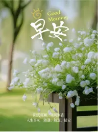 為什么越親近的人越挑剔？

人普遍有一種想法：他人而活，我這么做都是為了你，比如是為父母，為了孩子，那么問題就來了，我為你活著，你值嗎？你配嗎？于是，我會總盯著你，看看你是否值得我付出。我勢必會變得對你很挑剔。而且我們會強調我都是為了你，一旦沒有得到應有的回報，就會說，你怎么這樣呢？你怎么就不知道我的犧牲和痛苦，怎么就不能為我考慮呢，而且你這也不好，那也不好，這么多問題和缺點！那么，反過來，你如果也是為我而活，你一樣也會挑剔我。

結果，大家都非常挑剔，越親近的人就越挑剔和苛刻。怎樣避免這種情況呢？ 那就是即便我們最初真的是想“我都是為了你”，那也要很明確地告訴自己：“這是我自己的意愿，我想這么做，這是我的需要，我得為此負責，對方不必為我這個想法的結果負責。這樣彼此才能相處更舒服。配圖