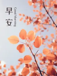 如何與傷害過自己的父母和解？
1 告別過去，不能原諒他人對我們的傷害，是因為傷害仍在繼續，被傷害的體驗不斷產生。如果父母并不愛我們，就必須接受這一現實。并不是所有父母都愛自己的孩子，這很遺憾，也讓人很難過, 父母不愛我們，并不代表我們不值得被愛，我們想從父母身上得到的一切愛，自己都能自我滿足。

2 有意識的去覺察快樂是怎樣的體驗，一個人能否感受快樂與原生家庭的氛圍有關，童年是我們人生的底色，一個人在很小時候總是生活在緊張，焦慮，無力，無助，悲傷，爭吵的氛圍中就算遇到快樂的事情也是很短暫的，因為家人都很痛苦，自己要是很開心，就顯得格格不入，也會自責，甚至自己會覺得快樂是一種罪過，一旦認同了原生家庭的這種氛圍，就算現在過的不錯，也不敢體驗快樂，會產生內疚感，對不起家人的感覺，隨之所有的快樂都會消失，取而代之的是罪惡感，羞恥感和愧疚感把自己埋沒。

3 把痛苦關進保險箱。想要擺脫曾經的痛苦，想象自己能把那些痛苦的畫面或片段打包整理好，塞進保險箱，并上鎖，這個保險箱就在我們心里，只有你自己知道密碼，你再也不讓它們出來打擾你的生活，然后與當下的生活親密接觸，真正去體驗當下的生活，而不是讓過去不斷侵擾現在。

4 不要因為彌補自己童年父愛母愛的缺失而養育孩子，或者通過滿足孩子來彌補自己的缺失，這樣會不自覺的以理想的標準要求孩子，對孩子會有很多的挑剔和不滿導致孩子很有壓力，力不從心，告別過去，也是為了和孩子建立健康的關系。


5 沒有完美的原生家庭，原諒父母，不是因為他們變好了或者能給我們足夠的補償，而是因為原諒他們會讓自己不再體驗過去的痛苦也是為了和自己和解，不再把當下所有的不如意歸結給他們，讓他們幫你承擔一切，給自己的墮落找一個合理化的理由，放棄了自我成長，自我教育的力量和重要性，勇于承擔一切發生在自己身上的責任。配圖