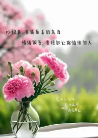 雕塑家得到一塊上好的大理石，他想雕一座宙斯的神像，然而還沒雕出輪廓，他又想雕一個美女，剛鑿幾下他又想不如換成植物，如此不停地更改，那結果會怎樣呢？他什么也沒有雕配圖