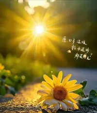 一無所有時，把陽光握在手里，做最陽光的自己，人生就可以操之在我。陽光是世界上最純粹、最美好的東西。它驅除陰暗，照耀四方，讓人心曠神怡；它沐浴萬物，讓世界充滿向上和成長的力量；它坦蕩無私，播撒著快樂與博愛的光芒，生命不宜有太多的陰影、太多的壓抑，最好能常常邀請陽光進來，偶爾也釋放真性情。”配圖