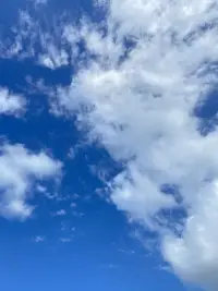 愿你的心情像今天的藍(lán)天白云一樣美好配圖