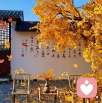 如何欣賞自己的生命呢？
也許你可以感謝自己的父母，因?yàn)槟愕某錾獨(dú)w功于他們。
也許他們?cè)屇闶蜻^(guò)你、讓你受過(guò)委屈，但是，他們給了你生命，再?zèng)]有其他人可以為你這樣做。
所以，一方面你可能會(huì)感到痛苦，另一方面，你可以去欣賞、可以去感恩。
所以別那么頑固，以往我們只是害怕或者憤怒，今天，讓我們來(lái)感謝一下他們。
因?yàn)楝F(xiàn)在和以往不同，現(xiàn)在，是你為你的生命負(fù)起責(zé)任。
當(dāng)你為自己的生命負(fù)起責(zé)任，你就獲得了自由。
從過(guò)去負(fù)面的影響中解脫，從而得以自由。
你可以跟你的父母聯(lián)結(jié)，并不一定要在現(xiàn)實(shí)生活中馬上這么做，你可以先從內(nèi)心深處跟他們產(chǎn)生聯(lián)結(jié)。
讓我們一起來(lái)欣賞生命，帶著感恩，去欣賞、去感激生命。
你的生命是非常的復(fù)雜的，也是非常殊勝的。
你是一個(gè)很好的抉擇者，你選擇幸福，無(wú)論發(fā)生了什么。
無(wú)論內(nèi)在發(fā)生了什么，無(wú)論外在又發(fā)生了什么，你都想要幸福！
因?yàn)檫@是你的選擇，你有能力為自己做出這樣的選擇！配圖