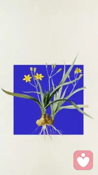 與人相處，先對別人冷漠一點。滿足了自己，才能生發能量，愉快地滿足別人。時時在意別人的感受，處處維護別人的利益，自己遲早會在供求失衡中，面臨情緒的崩潰。當我們有“不愿意”的情緒冒出時，說明這些事已經在突破我們的承受范圍。情緒已啟用防御機制，警醒我們及時過濾掉消耗自己的人和事。此時，把自己的內心安頓好，才是我們的首要任務。對于不在意你的人，他們不會體諒你的情緒，自然也不值得你熱情以待。
對于在意你的人，他們會因為你委屈自己，無法在關系中舒展，而心生愧疚。共情別人，是一種善良。保持距離，又何嘗不是一種成全。理清自己的界限，適時袒露自己的冷漠，能讓自己避免陷入負面情緒，也是尊重別人的修養。配圖