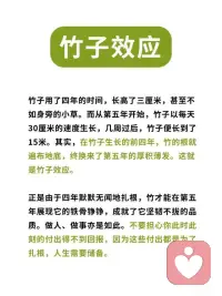 什么是竹子效應配圖