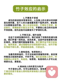 什么是竹子效應配圖