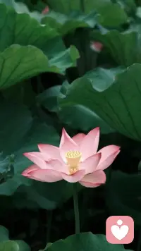 《幸福的勇氣》一書中提到了心理咨詢時常用到的三棱柱，對此我特別有感觸。三棱柱的其中兩面分別是“可惡的他人”和“可憐的自己”，第三面則是“以后怎么做”。大多數人在遇到痛苦和不幸的時候，要么是聲淚俱下地訴說自己的不幸，要么是深惡痛絕地控訴責難自己的他人或者將自己卷入其中的社會。但是在阿德勒看來，我們不可能乘坐時光機器回到過去，也不可能讓時針倒轉。如果你成了原因論的信徒，那就會在過去的束縛之下永遠無法獲得幸福。因為你人為地設置了一個天花板，你很難超越自己。所以，阿德勒更傾向于讓我們關注“以后怎么做”。配圖