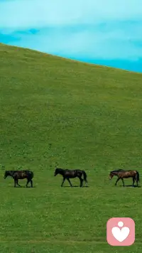 弱者互踩，強者互助

人在自己很糟糕的時候，才會肆意地說別人壞話。那些貶低別人的人，大多都很弱。因為自己能力不及，努力不夠，又見不得別人比自己過得好，便心生惡念，嫉妒別人比自己強，于是貶低，于是傷害。但往往越是貶低別人的人，越是過得更差，更糟糕。

一個“踩”字，彰顯了一個人陰暗的內心。而人在做惡事的時候，氣場都是污濁的，第一毀的不是旁人，反而是自己。人一旦心生嫉妒，把心思都用在了踩別人上，自己也就陷進了很低的格局里。互踩意味著互傷，別人落不了好，自己也成了黑靶子。

弱者互踩，強者互助。真正睿智有格局的人，從來不互踩，與其貶低別人，不如強大自己，與更強大的人，強強聯合。好的合作關系，從來不是你有，我沒有。而是我努力變強，你也努力變強，我們互補，于是彼此更上一層樓。配圖