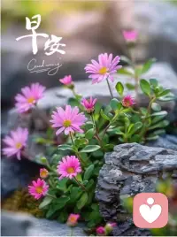 只有自我足夠的穩(wěn)定，才會有舒服的關(guān)系。與外在的每一份關(guān)系都上演著你與自己的關(guān)系。

在關(guān)系當(dāng)中，任何一把刺向你的刀其實(shí)都有你的參與，如果沒有你的配合，這個世界上沒有人能傷害你。

你更需要給自己一個溫暖、容納、自我支持的空間，你才會在外圍的關(guān)系里有個永遠(yuǎn)的歸處，不會用傷害自己來維系關(guān)系的存續(xù)。

當(dāng)你可以和自己聯(lián)結(jié)，你就可以在關(guān)系里進(jìn)退自如，知道自己可以做什么，不可以做什么，也就沒有人可以傷害到你了。

對于每一次情感困境，都應(yīng)該被轉(zhuǎn)化成去看見自己、陪伴自己和修通自己的機(jī)會，畢竟只有你最應(yīng)該在意自己過得好不好，傷的痛不痛，你的存在是被值得看見的。配圖