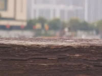 青少年咨询工作中，特别难的部分，也让咨询师感到挫败感十足的部分，就是家长沟通
​父母是付费方，也是养育者。来咨询的是青少年，咨询师在这个系统中要维持一个悬浮的位置，特别的难。
​既能做好青少年的心理咨询师，又能在与父母沟通中看到他们的困难和情绪，给予支持和抚慰，面对他们对于咨询的不确信，不理解，质疑，不满，能够给予耐心倾听，这些都特别考验咨询师。