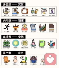 記得關愛自己，
讓這些快樂的神經遞質，
傳遞在身體的每個細胞。配圖