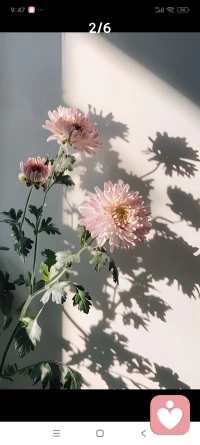 刚看了一段话，我觉得写的特别好，他说：没有任何一种品格可以高枕无忧，一个人清高需要宽容，否则清高就成了孤傲；仁慈需要果断，否则仁慈就成了软弱；强大也要有所敬畏，否则强大会生暴戾；富有需要节俭，否则易成奢靡；博学说话时需要浅显，否则易成刁钻；尊贵需要谦卑，否则易成傲慢。凡事有阴阳，过则为灾。配图