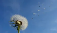 兒時的人際創(chuàng)傷，會像病毒一樣潛伏在記憶里，成年后變成“自我攻擊”的羞恥感，最終讓你在社交中瑟瑟發(fā)抖。配圖