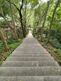 成功的人际关系在于，捕捉对方的需求，而非表达自己的需求。层次不同，沟通的语言也不同。
和底层人用情绪说话，即时的情绪反馈，而非复杂思考。
和中层人用逻辑说话，中层人更倾向于用事实和逻辑去沟通。
和上层人用利益说话，和优秀的人共事，不用太在乎他们的自尊，他们知道取舍。
反过来，和底层人讲逻辑，他会认为你在装腔；和中层人讲利益，他会觉得你很功利；和上层人讲情绪，他会怀疑你的智商。所以与人沟通，要灵活变通，顺应人性。