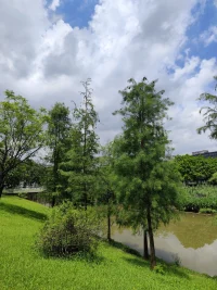 夫妻要经历的八个阶段 
1. 激情期：新婚燕尔，甜蜜无比；
2. 磨合期：1-2年，冲突与失望涌现，考验着婚姻的牢固；
3. 叛逆期：3-7年，争吵不休，许多夫妻在此阶段分道扬镳，应验了“七年之痒”的说法；
4. 合作期：7-13年，度过叛逆期的夫妻开始共同学习，为家庭共同努力；
5. 重组期：大约15年，爱情与婚姻转化为亲情，彼此无可替代；
6. 危机期：婚后20年左右，面临变故、父母生病或离世、孩子的工作问题等挑战；
7. 完美期：婚后30年，享受完美人生，“老伴”成为最亲密的伴侣；
8. 圆满期：婚后50年，庆祝金婚，婚姻美满圆融。
你们正处于哪个阶段呢？