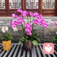 别什么都甩锅给“原生家庭”，原生家庭对一个人的影响只有10%，如果一个人成年之后还不自我成长，依旧沉溺在“原生家庭有罪论”中，那么原生家庭对你的影响是100%。没有一个原生家庭是完美的，关键看个人自己的选择，是否能对自己以后的人生负责。配图