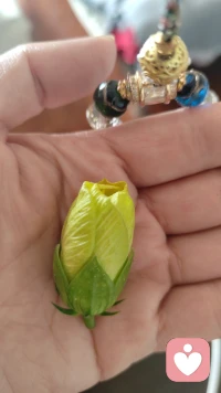 因為創傷，我們緊緊連接在一起。你對我視而不見，像我冷漠的父親；我對你冷嘲熱諷，像我惡毒的母親……在這段關系里，我們都痛苦不堪，卻無法分開。
這就是典型的創傷性聯結！配圖