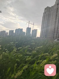 這個中秋節，我所在的城市細雨微濛，秋意深濃。配圖