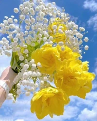 什么是心理咨詢帶來(lái)的成長(zhǎng)？

一個(gè)生命，一個(gè)咨詢來(lái)訪者，或者是自己。不管此刻你處于哪個(gè)年齡段，過(guò)往你所經(jīng)歷的一切造成的創(chuàng)傷，由此留下的記憶，記憶形成的一些觀念，帶來(lái)內(nèi)在的感受，這樣會(huì)限制你日后看待類似事情的看法和行為，所以心理咨詢通常會(huì)先看見理解這個(gè)生命此刻為何是如此的狀態(tài)，這不是無(wú)緣無(wú)故的，也不是他想這樣的，他很想去改變的，但就是他有的時(shí)候好像他知道卡在哪兒了，有的時(shí)候都已經(jīng)忘記因?yàn)槭裁纯ㄔ诹四抢铮赃@時(shí)，心理咨詢師就需要幫助他找到那里是什么讓他變成了今天這個(gè)樣子，是什么卡住了他，從而處理那個(gè)卡點(diǎn)，然后帶著他一起在現(xiàn)實(shí)生活中找到一些資源，喚醒他潛在的智慧能力，去重新活出更想成為的那個(gè)自己，更好的那個(gè)自己，這時(shí)候你可能啊，我知道我是怎么回事了，尤其現(xiàn)在AI的興起，我也知道該怎樣去活出一個(gè)嶄新的自己來(lái)，但是我卻行動(dòng)不了，但是我就是做不到，反而更焦慮，更痛苦，更郁悶，更難過(guò)，親愛(ài)的，如果不管你處于哪種情況，這都是正常的，就是重新再去體驗(yàn)，體驗(yàn)幫助你去如何再去體驗(yàn)，在生命現(xiàn)實(shí)層面不斷的去重構(gòu)，重構(gòu)，重構(gòu)新的自體。當(dāng)有一天一片荒地，由于你的重建長(zhǎng)出綠油油的麥田，長(zhǎng)出開出五彩的鮮花，長(zhǎng)出一片田野，一片綠葉，一片玫瑰園，一片荷塘，或一片什么什么，自然而然的發(fā)現(xiàn)，你就已經(jīng)成為新的你了。

我愿陪伴你一起重建這片美好的內(nèi)在家園，歡迎預(yù)約我，我們咨詢中見！配圖
