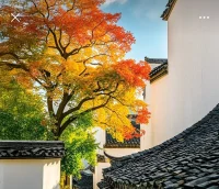 生命的真實感受，有時候和“應該”沒有絲毫關系。
存在的，是這個當下，我說了什么，做了什么，想了什么。
“應該”是一個標準，而有很多和“應該”不同的生命狀態。配圖