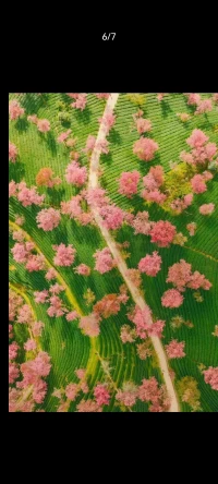 說話的時候很容易因為一件事覺得他是這樣的人。而事實是他做了一件這樣的事，我們無法說這是他的習慣還是偶然，只能說明，他做了一件這樣的事。配圖