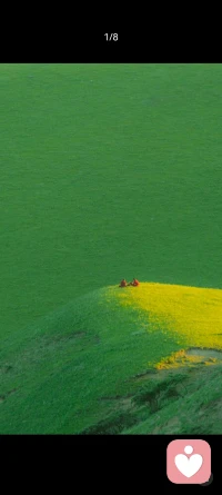 我從我的版圖里看人，看事，沒有客觀的，都是主觀的。配圖