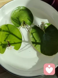 能够陪伴在脆弱，难过，孤单…身边，是真正的力量。