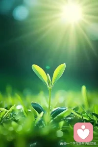 人本主义心理学核心理念所示：只有当一个人被深深地看见和接纳时，改变才会发生。配图