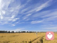 在人本主义疗法中，沉默不是治疗的停滞，而是沟通的另一种形式。它是来访者整合体验，触碰情感或进行内部探索的“神圣空间”。配图