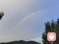 当咨询师能够安然地与来访者共同处于沉默中时，这种沉默本身就传达了一种强有力的信息：“在这里你不需要取悦我，你不需要表演，你可以只是存在。”
——选自《人本主义心理治疗实务》配图