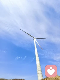 埃里克森的理论告诉我们，人生是一场连续的挑战。每一个阶段的危机都是一次重塑自我的机会。即使我们在早期阶段留下了创伤，通过后天的矫正性情感体验（如心理咨询，健康的伴侣关系），我们依然有机会修补地基，获得迟来的“希望”与“爱”。配图