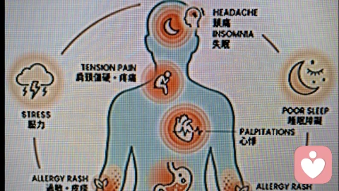 心理边界:当你的身体开始替你说「不」- 关于情绪勒索、压力与自我疗癒