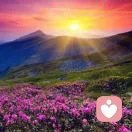 放羊的星星的头像