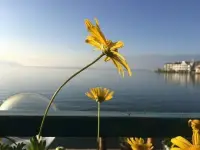 总有一天你坚持的东西，会反过来拥抱你。