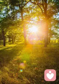 提升身体能量：重启生命节律

1. 靠近自然，汲取地气：别把自己困在钢筋水泥的世界，去摸摸树皮的粗糙，闻闻雨后泥土的气息，感受脚掌踏过草地的真实，从自然中汲取力量。

2. 日光浴，晒出好心情：阳光是免费的良药。晒太阳可以促进血清素的分泌，而血清素是让你快乐起来的激素。每天20分钟，让皮肤沐浴在自然光下。

3. 动起来：一开始不一定要剧烈运动，可以从5分钟拉伸或步行开始，也可以慢跑、登山。运动不仅可以同时分泌多巴胺和内啡肽，还能改善睡眠。身体的活力是精神韧性的基石。低能量时，别忘了一定要让自己动起来。

4. 真正休息，深度修复：真正的休息不是瘫着刷手机，而是允许自己“关机”。放下电子设备，优先保证7—8小时高质量睡眠。午间小憩20分钟，让紧绷的神经彻底松绑。