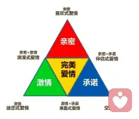 爱情关系的基本要素

成熟的爱的第一个要素是对伴侣的人格感兴趣，即一方想要知道对方的感觉、兴趣、思想和欲望；好奇对方的抱负和目标，并且愿意与之相伴，即使与伴侣兴趣相关的努力和活动并非你的主要兴趣。在情感冲突中，当两个人的需求存在巨大差异或潜在矛盾时，这种对另一个人生活体验的关注构成了一种非常宝贵的共享空间。此时，如果双方都能从另一方的角度看待情感冲突，那将会获得某种理解，从而有助于解决这场冲突。向另一半敞开心扉，可以帮助双方重新进行沟通与妥协，减少怨恨，避免因彼此的投射性认同而加剧冲突。

与此形成鲜明对比的是，糟糕的亲密关系恰恰缺少这样一种兴趣，他们关注的焦点都在“我得到了什么”或者“他/她对我是否公平”或者“我的需要是否被满足了”。
这些问题反映出一种趋势，那就是失望和怨恨会随着时间的流逝而在彼此心中积累。

这种“正当的愤怒”（justified indignation） 和“自我正
当性（self righteousness)积累得越来越多，最终就会在某种情况下爆发出来。