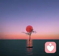 “真正的倾听是用心触摸对方的灵魂，而非用耳朵收集故事。”