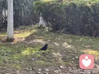 父母的教养方式与焦虑型依恋的形成

有些父母会对孩子忽冷忽热，时好时坏。当照顾者无法给予孩子持续稳定的关注和照料时，会给孩子带来很大的困扰，导致焦虑型依恋的产生。

焦虑型依恋也可能是由「侵入性」或「冲击性」的教养方式造成的，采取这种教养方式的父母更多考虑的是自己的需求而非孩子的需求。

在这样的家庭中，父母和孩子可能会角色互换，即孩子像个大人一样来照顾父母。这样的父母也可能经常批评孩子，或对孩子有较高的期望。配图