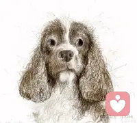 三，你对关系的选择，就是自我的一部分

一个人的伴侣关系，其实会告诉我们很多关于他自己的事情。

你敢不敢拒绝？能不能表达自己的不满？对方不高兴的时候，你会不会马上妥协？对方一次次越过你的边界，你最后会怎么处理？

这些看起来都是伴侣的问题，其实也是个人意志的外显。

如果看到这里你感到背后一凉，其实我还想说，现在拥有怎样的伴侣，不能简单等同于这就是你真正想要的人。有些关系确实是我们主动选择的，但有些关系则是我们在没有充分觉察的情况下重复出来的。

你需要做的从我为什么总是遇到这样的人，慢慢走到我为什么总是走进这样的关系。

再往前一步才去发现，从今以后，我想让什么样的人进入我的人生？配图