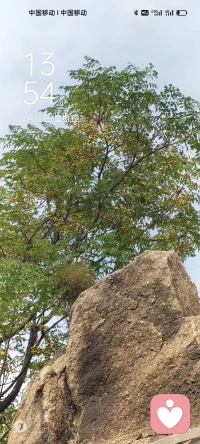 因為我們不像太陽那樣能夠普照萬物，我們只是有情、有限的燈火，只能照耀有限的空間。如不辭舊，恐為負擔，相互牽連，彼此邁不動前行的腳步。配圖