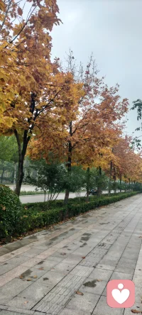 人的問題，有時卻需從自然中找尋。從祖先走過的路上找尋，從鄉(xiāng)間的小路上找尋……從故鄉(xiāng)的小河邊上尋覓，從田野里小野花里尋覓……配圖