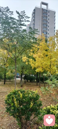 盡管你渴望得到什么，有時你卻需以退為進配圖