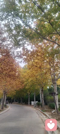 研究表明:雙親不合比雙親不全有更壞的影響。父母若長期分歧、對立、爭吵，會使子女有嚴重的焦慮和矛盾，多疑、心神不定或神經質甚至心理變態及反社會行為。配圖