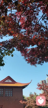 婚姻和家庭關注的是成員之間的相處模式，而不是單單留意每個成員的特質配圖