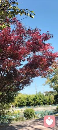 家庭中某一成員把問題、情緒、挫敗感、不安全感帶回家，會對家庭原有的互動關系形成挑戰。配圖