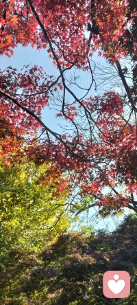 所有改變可視為維持穩(wěn)定平衡的努力，所有恒久平衡則靠改變維持。配圖