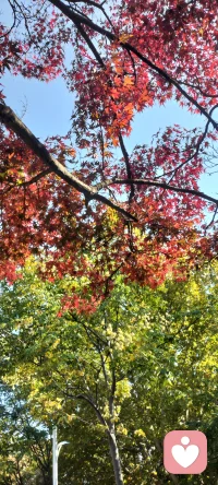 有問(wèn)題的家庭有兩種:一是糾纏、混亂的，一是脫離、孤立的。配圖