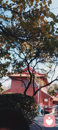 薩梯爾認為家庭生活需要開放、共同分享感受和愛，家庭困擾來源于溝通障礙導致的情緒問題。配圖