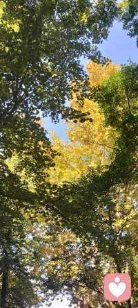 鮑文認為寄生式的母子互動關系長大的人不能完成自我分化，他們往往與家庭糾結過密，自主性、獨立性更差。配圖