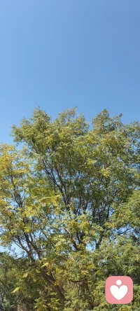 戀愛是有規律的，從一開始的，對方什么都好，到對方什么都不好，再到理性與平淡期。配圖